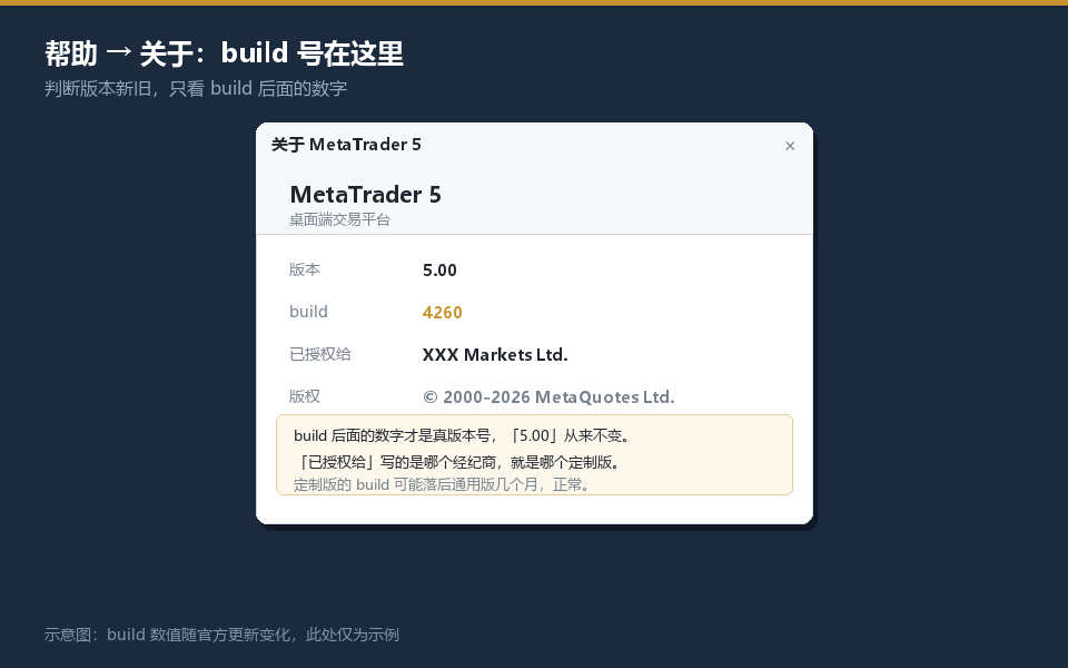 MT5版本号怎么看:帮助关于窗口里build号的位置示意